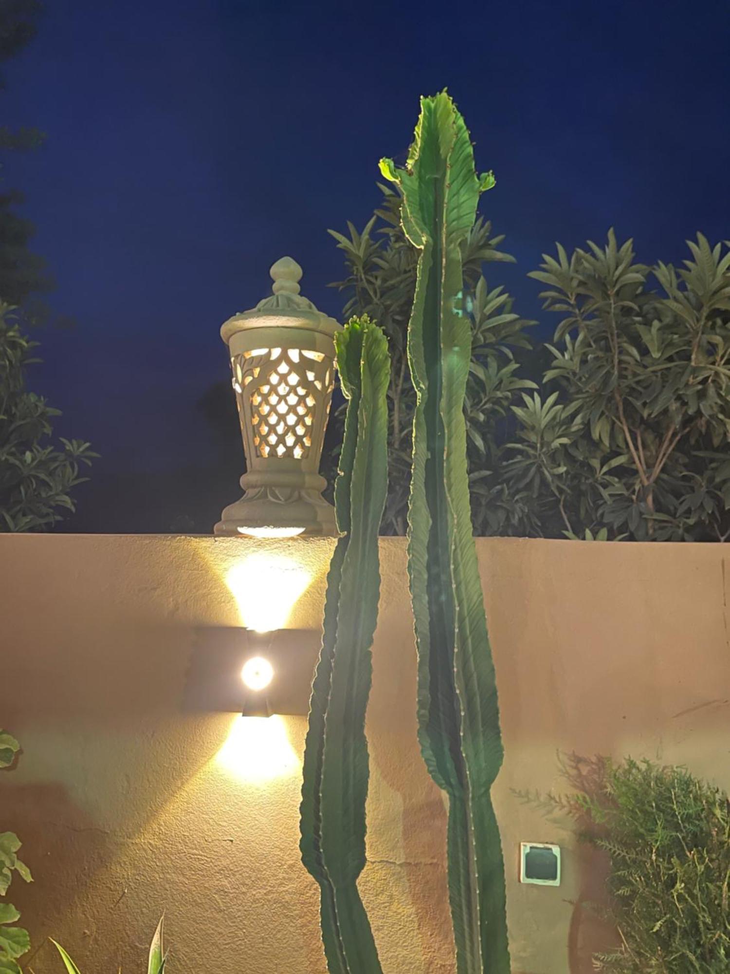Lodge Dar Tawja Asguine